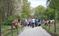 /album/fotogalerie-zoopark-na-hradecku-horni-pena/zooparknahradecku-26-jpg/